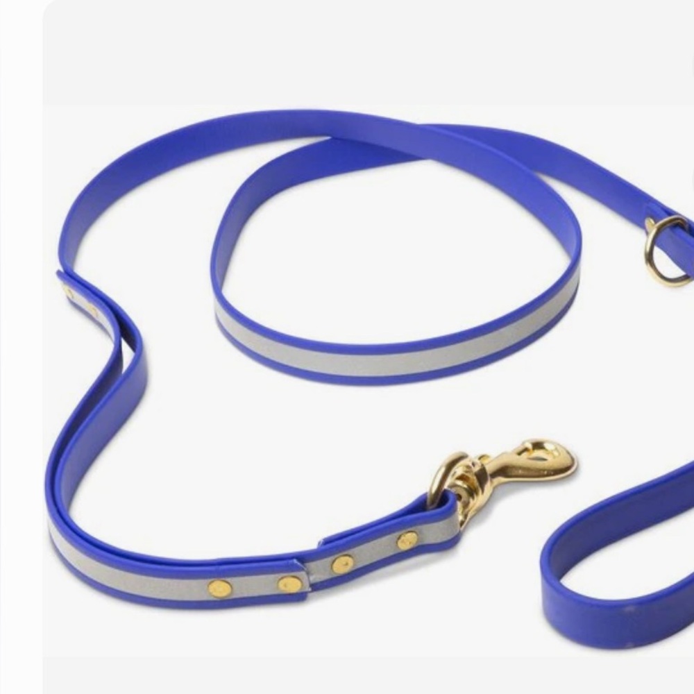 Dog Collar and Leash Set